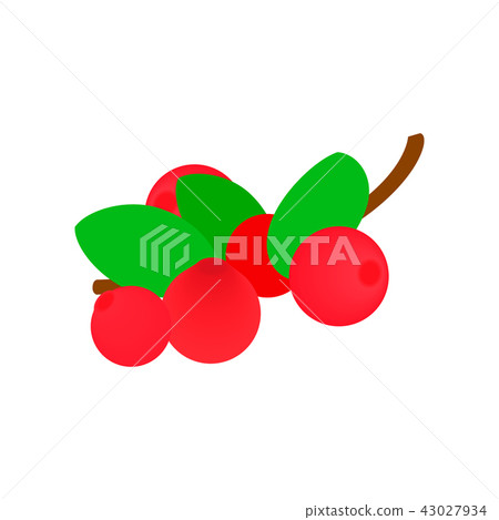 Cranberry with leaf isometric 3d icon  43027934
