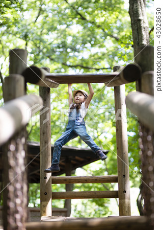 Girls playing in the park 43028650