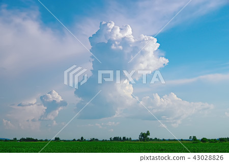 Beautiful clouds against a blue sky background. Beautiful clouds against a blue sky background. 43028826