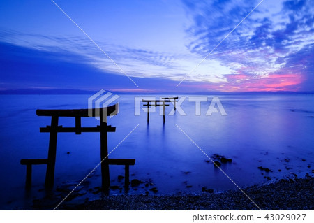 Underwater torii (Tara-cho) 43029027