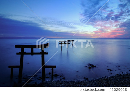 Underwater torii (Tara-cho) Underwater torii (Tara-cho) 43029028