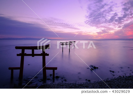 Underwater torii (Tara-cho) 43029029