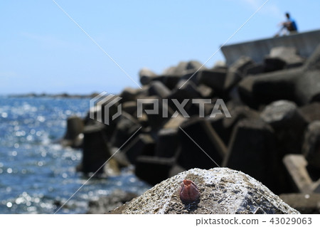 Sea · Summer memories · Tetra pot 43029063