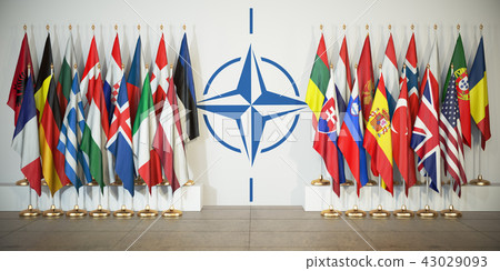 NATO. Flags of members 43029093