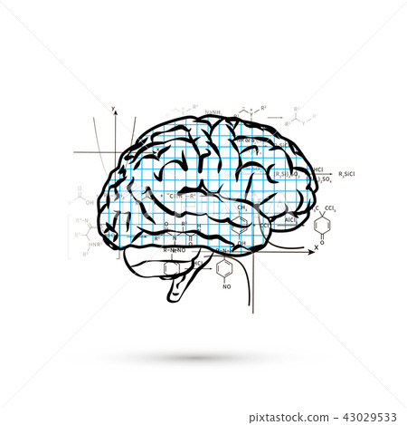 Technical hemisphere of human brain 43029533