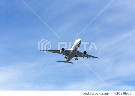 國內航站樓空氣航線Jal ANA JAL ANA廉價航空器風扇高空航空 43029665
