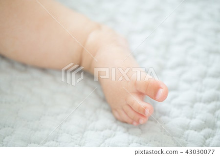 Baby's foot nail Baby's foot nail 43030077