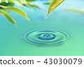 Water droplets 43030079