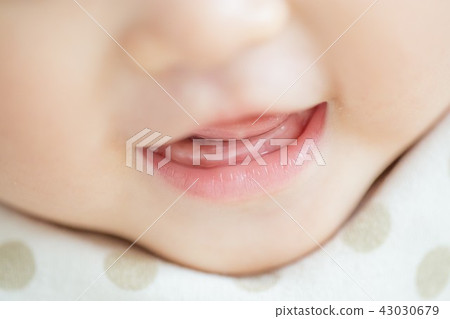 乳牙 43030679