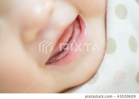 乳牙 43030689