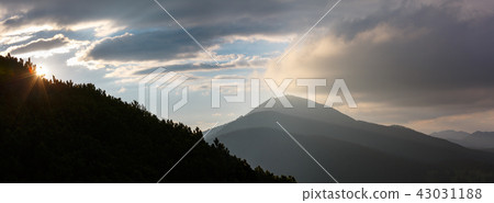 Evening Carpathian mountain, Ukraine 43031188