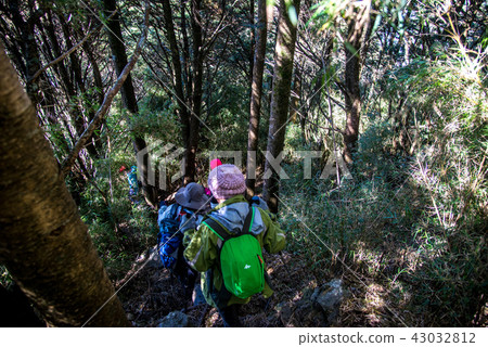 西巒大山 西巒大山 43032812