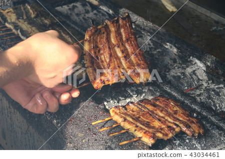 鰻魚 鰻魚 43034461