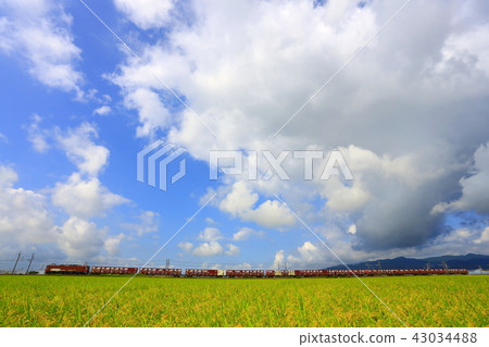 Scenery of cargo train 43034488