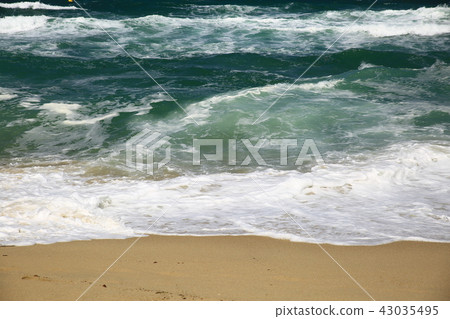 海呼! 海呼! 43035495