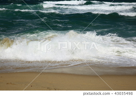 The sea calls! 43035498
