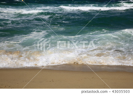 The sea calls! 43035503