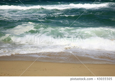 The sea calls! 43035505