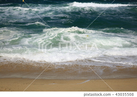 The sea calls! 43035508