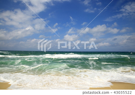The sea calls! 43035522