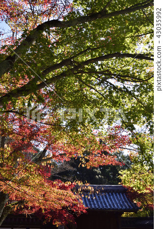 Nanzenji Tower Head Tensenan 43035992