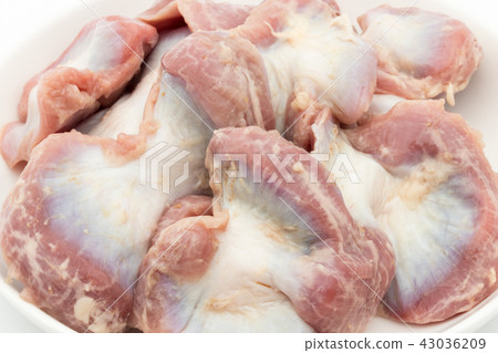 Chicken sand liver (sandbag): Gizzard 43036209