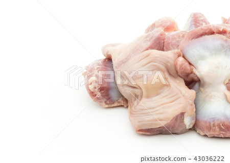 Chicken sand liver (sandbag): Gizzard 43036222