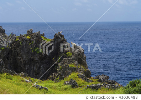 蘭嶼海岸奇岩怪石 43036488