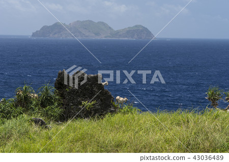 蘭嶼海岸奇岩怪石 43036489