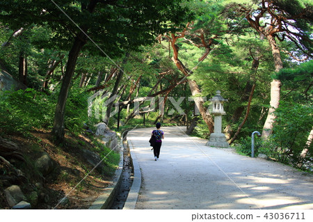 治愈之路！ 43036711