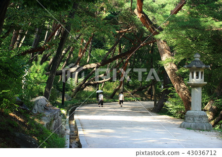 治愈之路！ 43036712