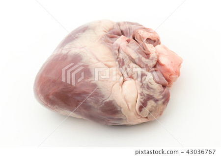 豬心:豬的心臟 豬心:豬的心臟 43036767
