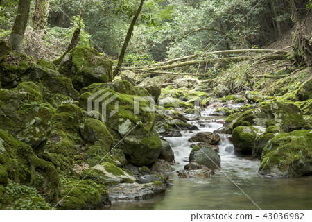 Flow of mossy stone and Iida river Flow of mossy stone and Iida river 43036982