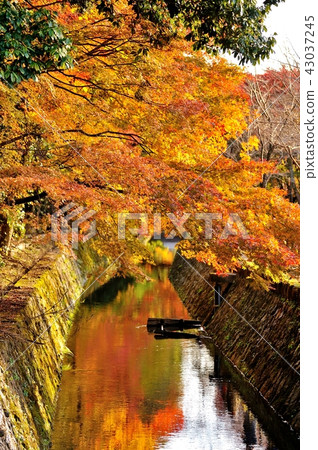 疏水性下降 43037245