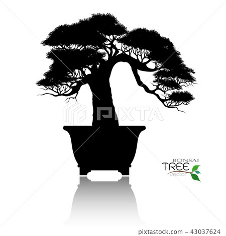 Vector of Bonsai tree. Japanese and Chinese trees. Vector of Bonsai tree. Japanese and Chinese trees. 43037624