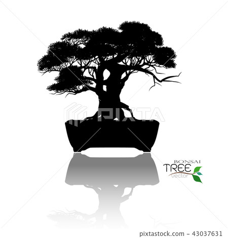 Vector of Bonsai tree. Japanese and Chinese trees. Vector of Bonsai tree. Japanese and Chinese trees. 43037631