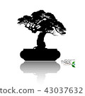 Vector of Bonsai tree. Japanese and Chinese trees. 43037632
