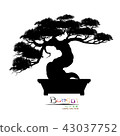 Vector of Bonsai tree. Japanese and Chinese trees. 43037752