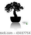 Vector of Bonsai tree. Japanese and Chinese trees. 43037754