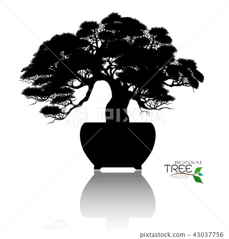 Vector of Bonsai tree. Japanese and Chinese trees. 43037756