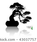 Vector of Bonsai tree. Japanese and Chinese trees. 43037757