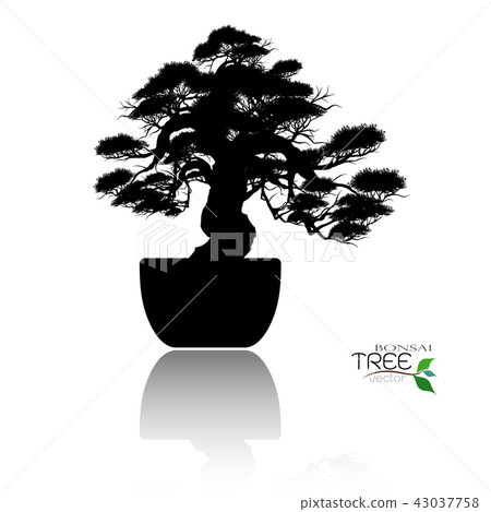 Vector of Bonsai tree. Japanese and Chinese trees. 43037758