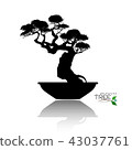 Vector of Bonsai tree. Japanese and Chinese trees. 43037761