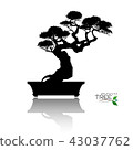 Vector of Bonsai tree. Japanese and Chinese trees. 43037762