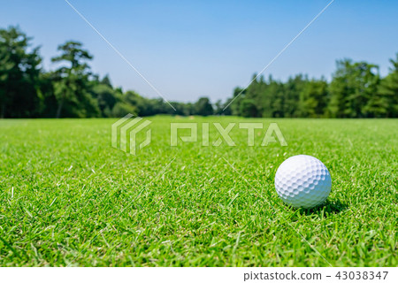 Golf course Golf course Golf ball 43038347