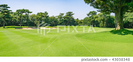 沙坑周圍的草坪和高爾夫球場的景色 沙坑周圍的草坪和高爾夫球場的景色 43038348