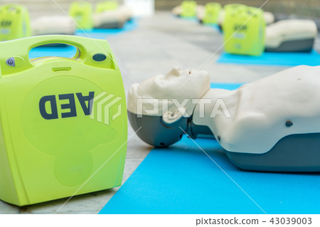 model for cpr and AED training  43039003