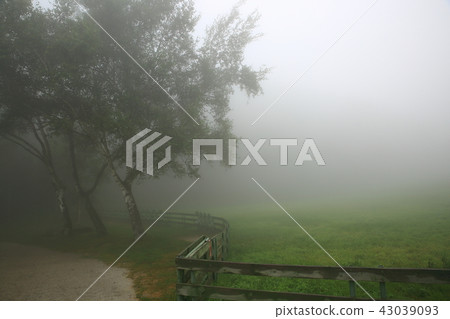 Watercolor flock Ranch 43039093