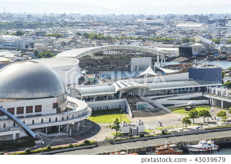 俯瞰俯瞰著名古屋港水族館的市區 43039679