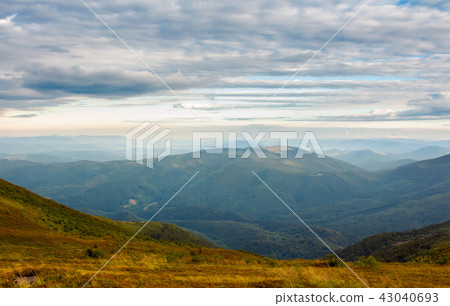 weathered alpine meadow in august 43040693